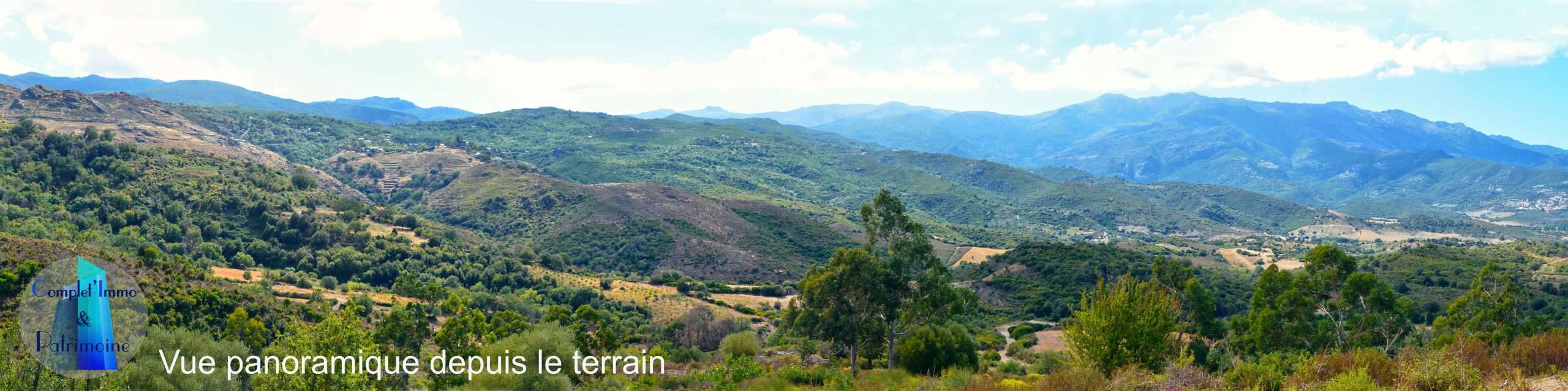 Santa regina olmeta di tuda