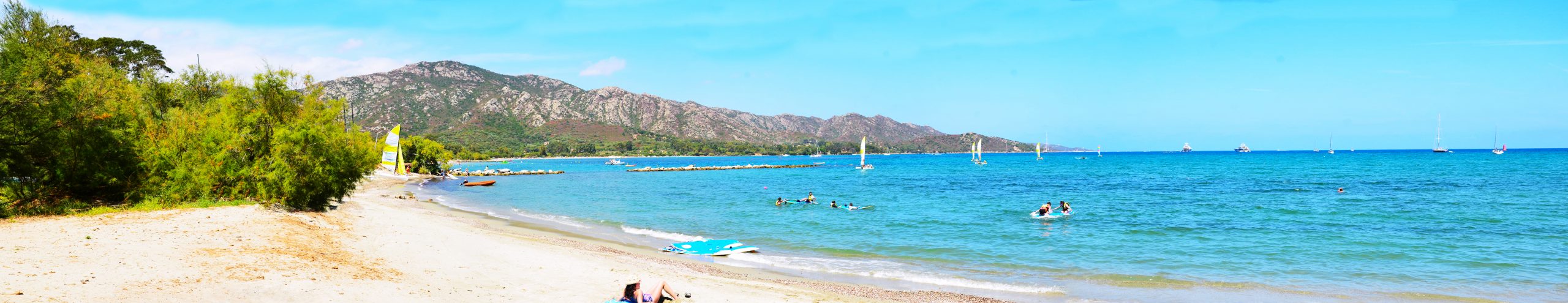 Panoplageroya Scaled