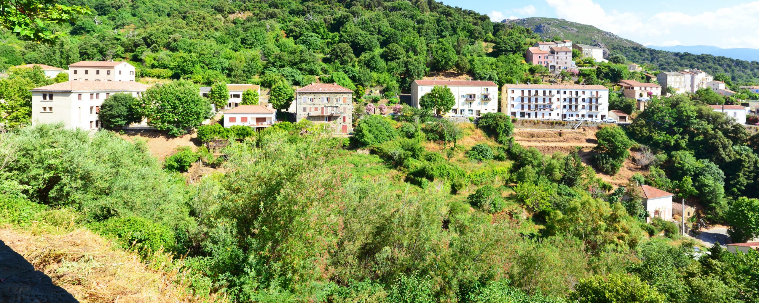 Terrain Oletta 8 Scaled